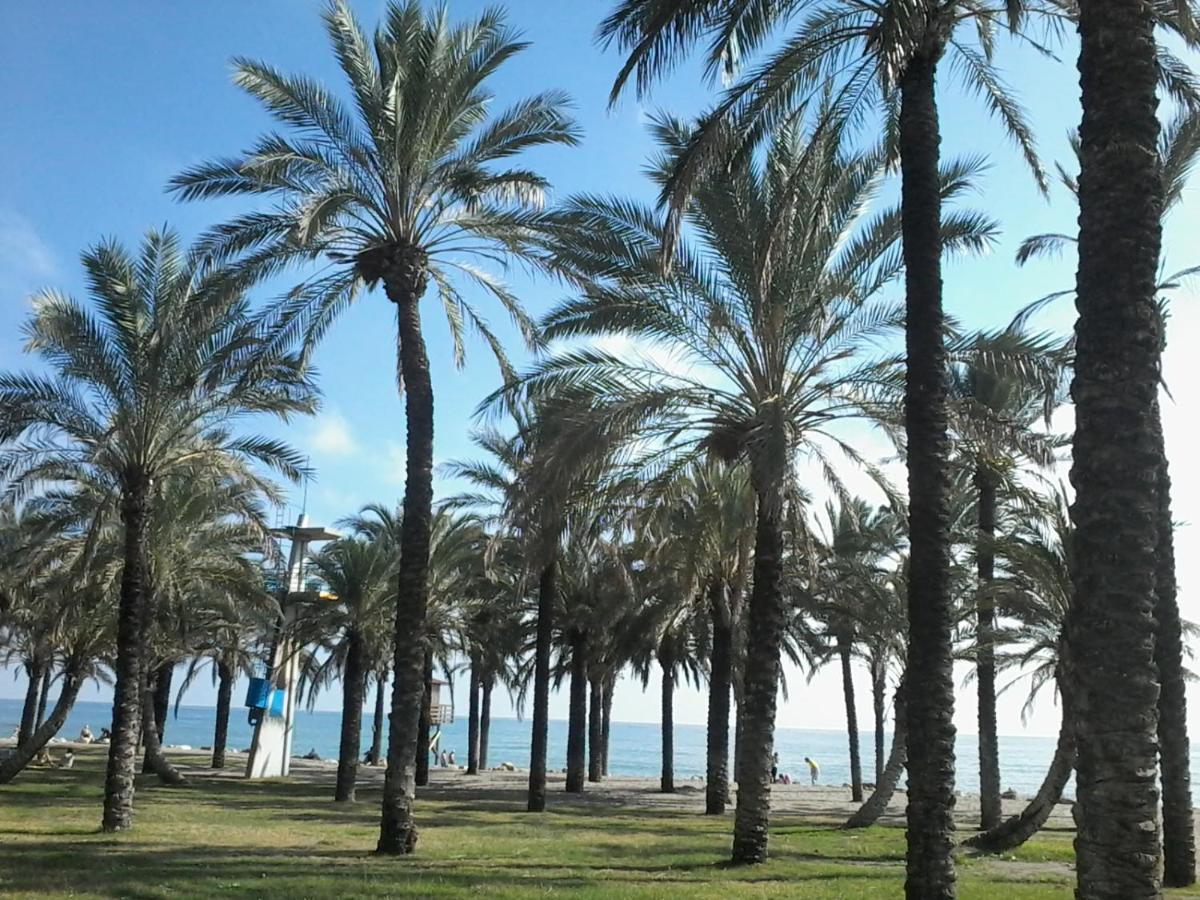 Estudio Costa Del Sol -