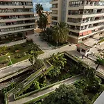 Monko Arbol Del Paraiso