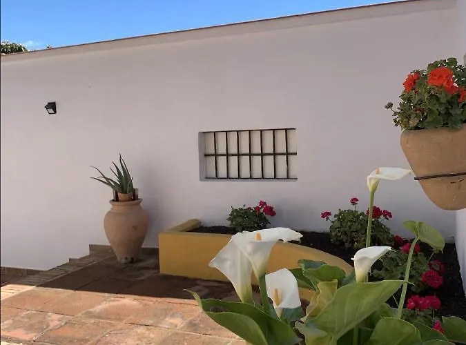 Encantador Apartamento-Centrico-Con Amplio Jardin
