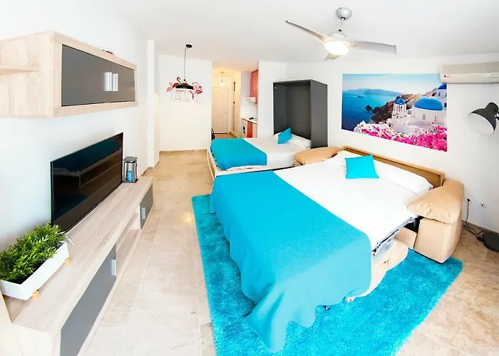 Zenplaya 2º 3