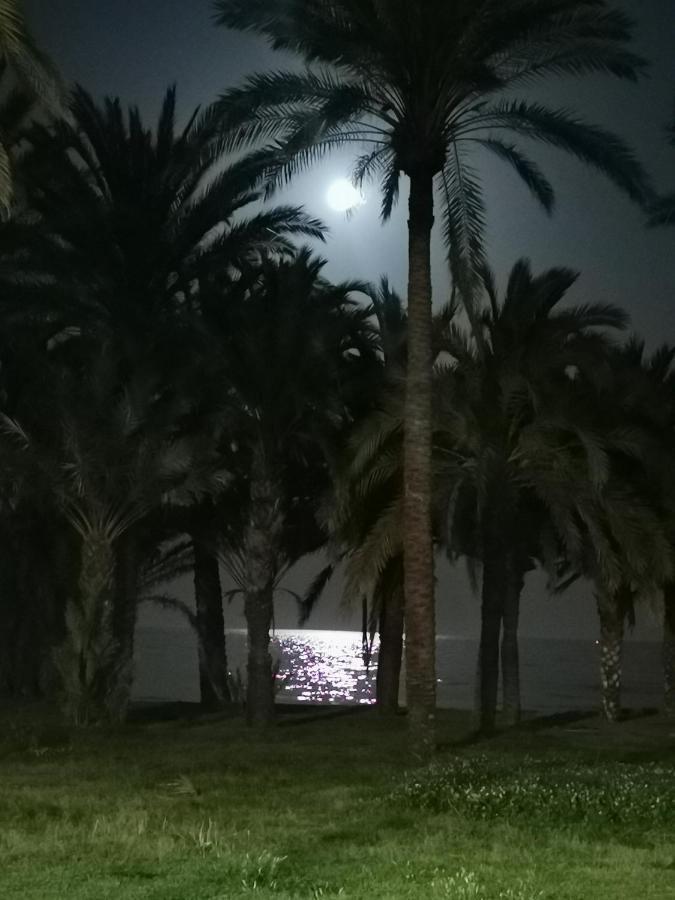 Lido Beachfront * Torremolinos