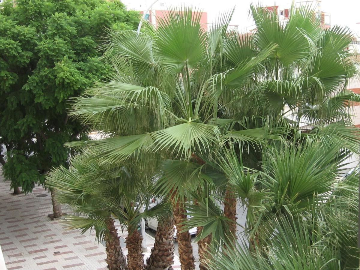 Excelente Apartamento Princesa 33 Apartment *