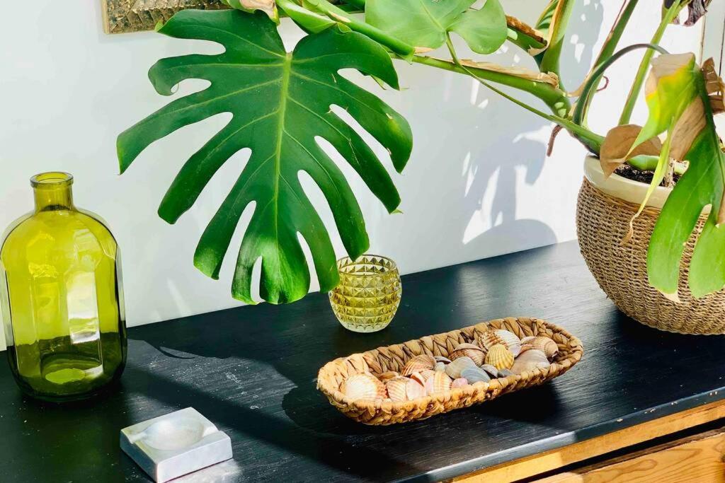 Begonia Center 230 By Namaste Elite Apartment Torremolinos