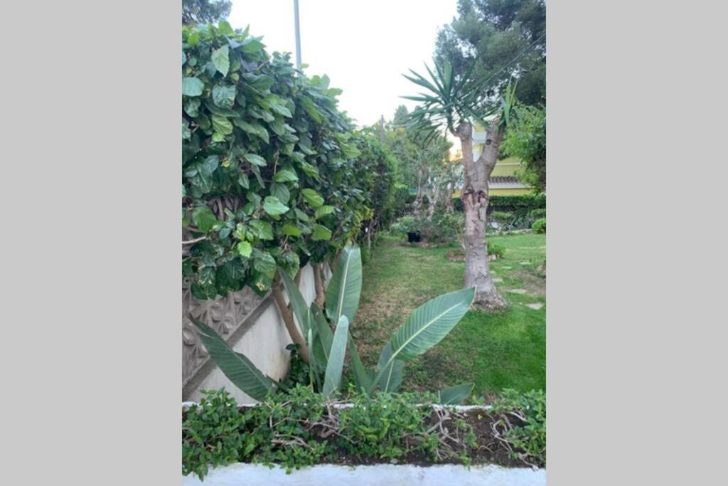 Apartamento La Dorada *