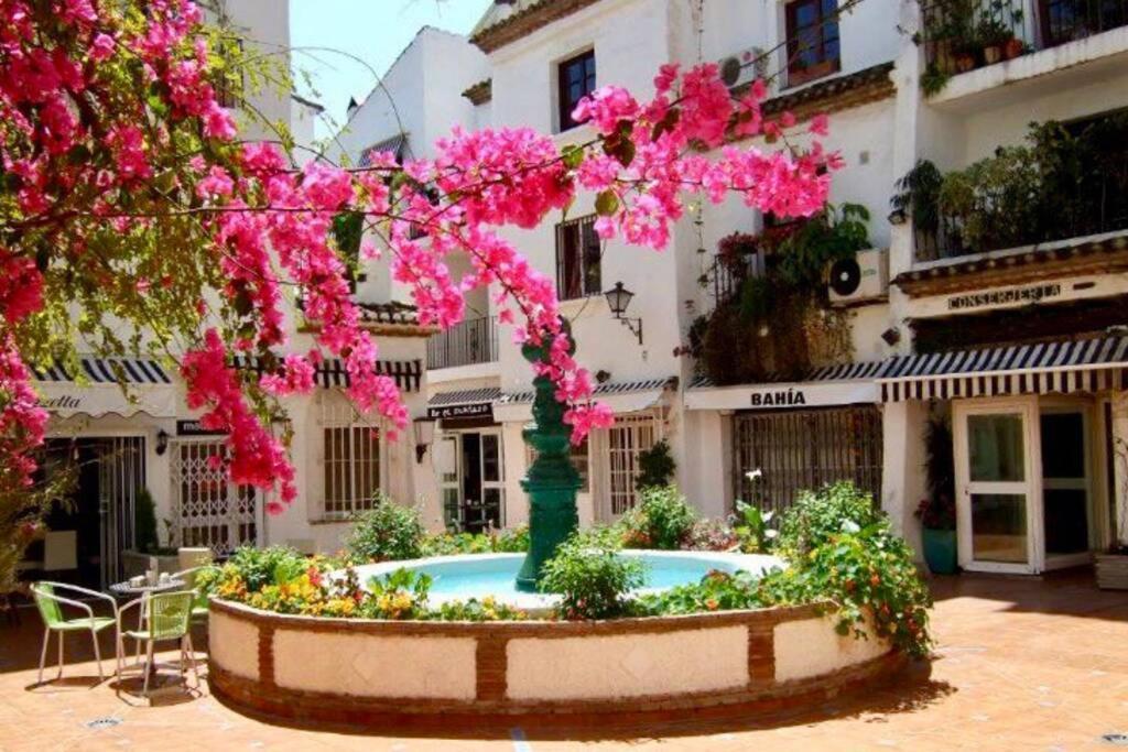 Begonia 119 Apartment