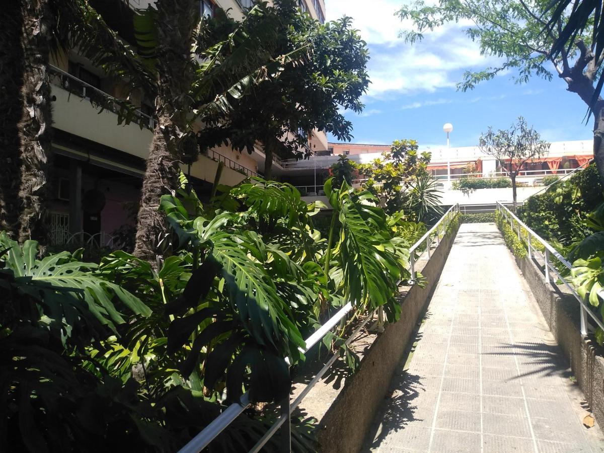 Nogalera 109