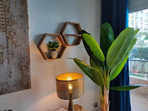 New Fabulous Beachfront Appartement