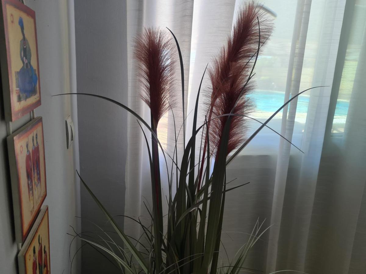 El Remo Appartement