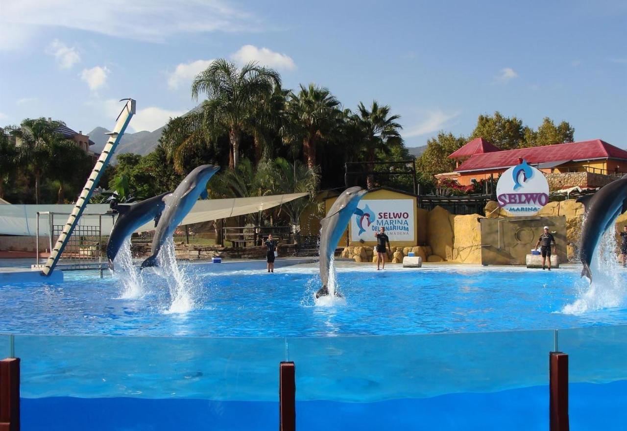 Family Friendly Patio And Poolview Torremolinos