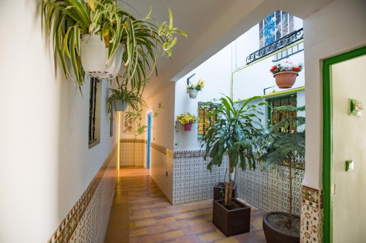 Apartment Carihuela