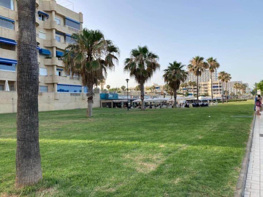 Apartment Playamar