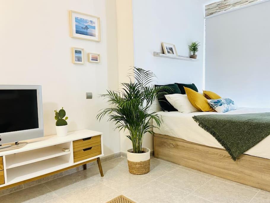 Alterhome Luminoso Estudio Con Piscina Y Maravillosas Vistas
