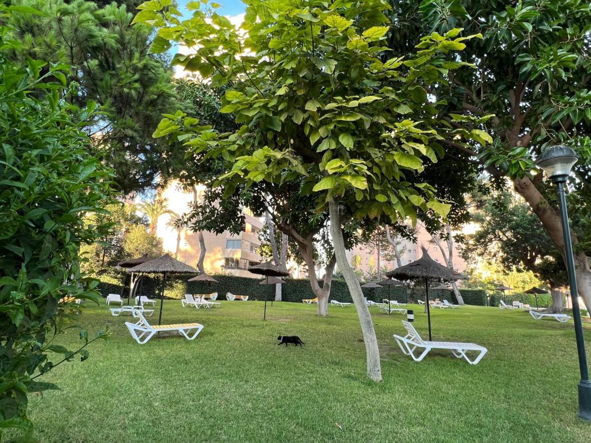 Modern 3 Bedroom Situated In Luxury Beachfront Gated Community Appartement *