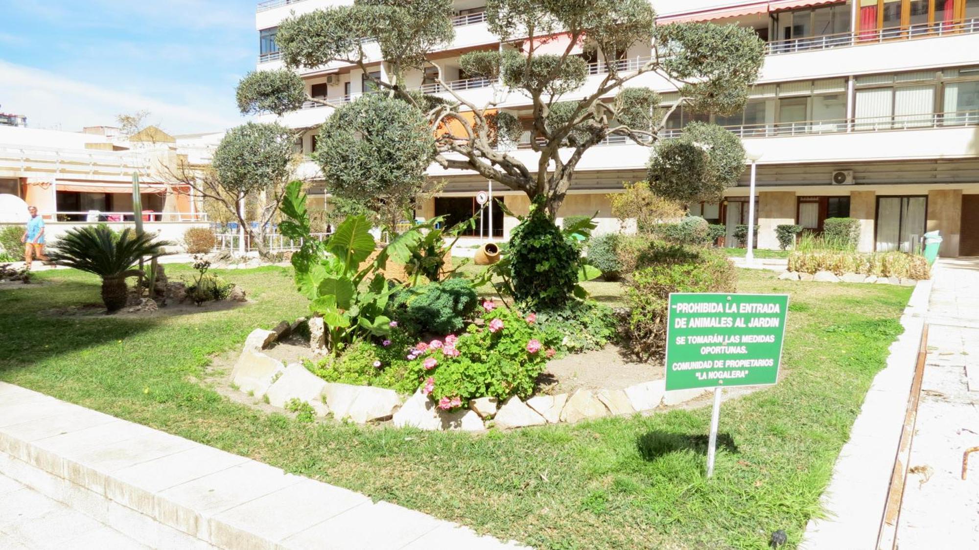 Nogalera Sun&fun Select Apartamento *
