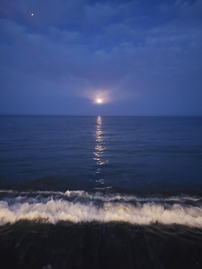 Playa La Vina P * Torremolinos
