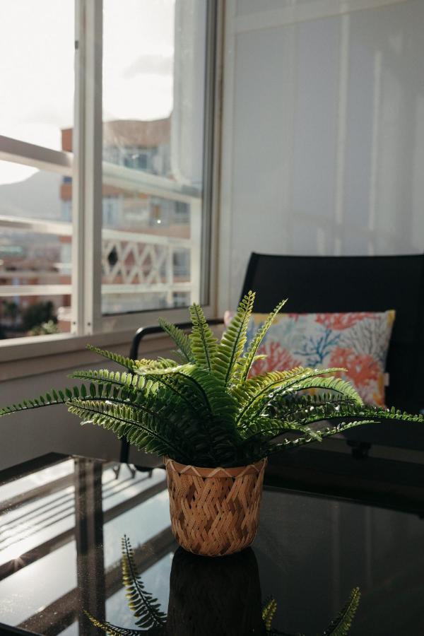 Appartement Saltillo Alto Sunset Balcony *