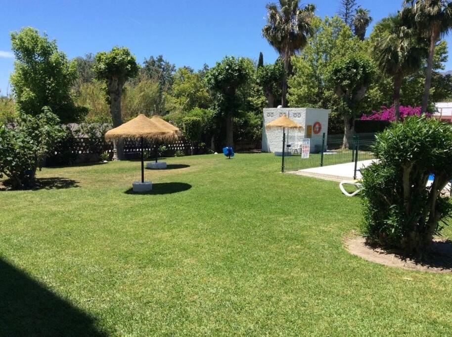 Estudio Vacaciones En Alamos