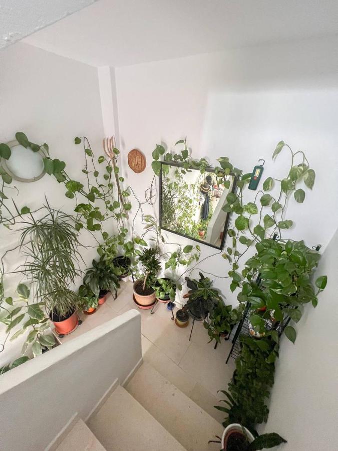 Apartamento Casa José