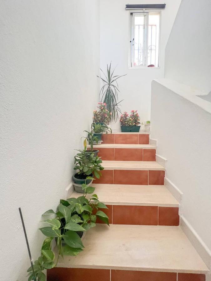 Casa José *