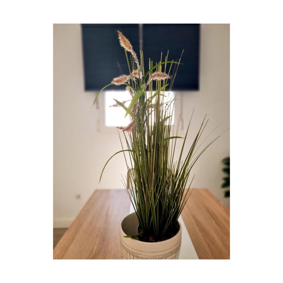 Apartamento Con Sol De Paz *