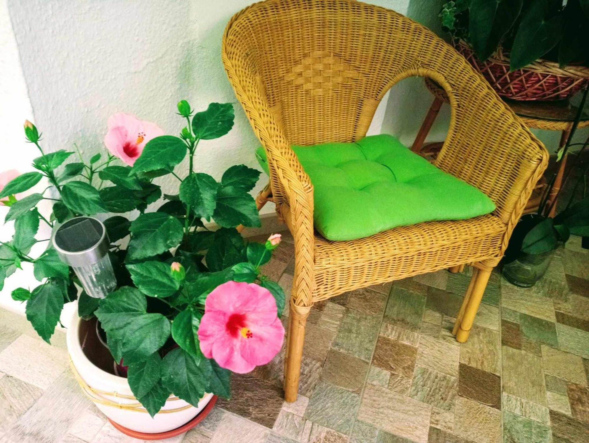 Apartment La Carihuela A 5 Minutos De La Playavistas Al Mar Torremolinos