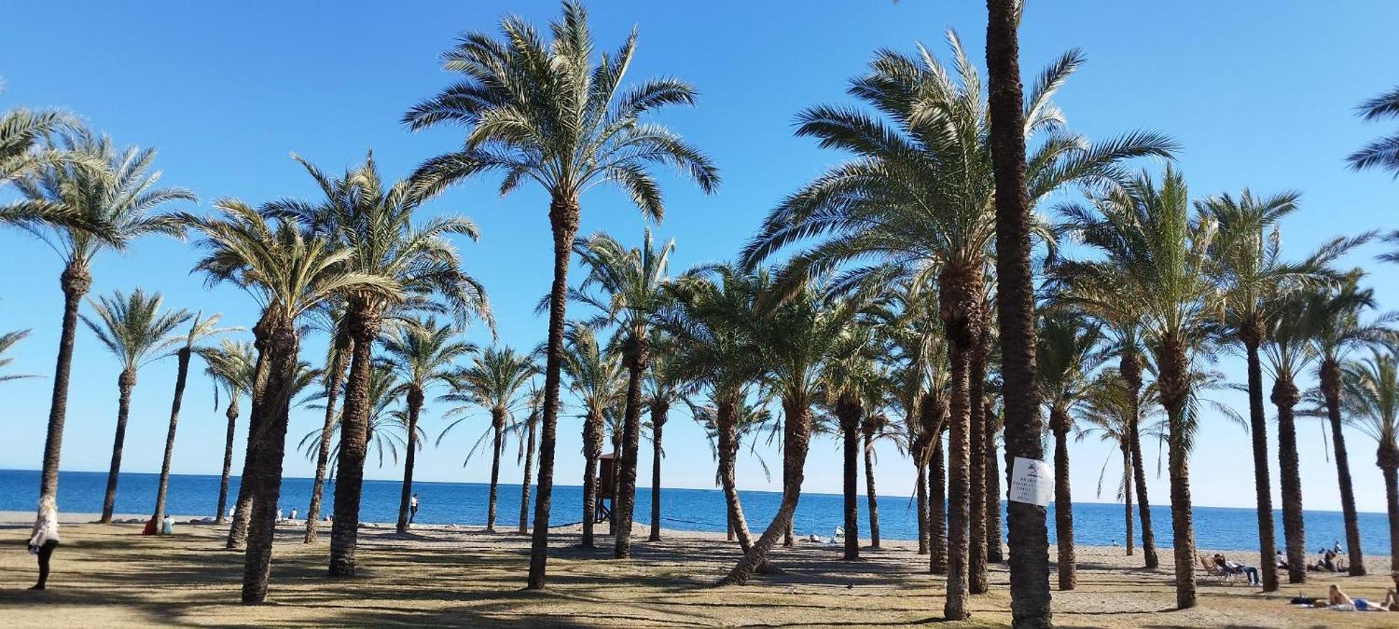 San Antonio - Beach, Pool And Terrace Torremolinos
