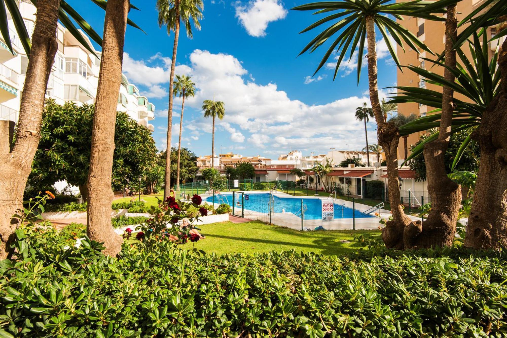 Aloha Torres Carihuela *