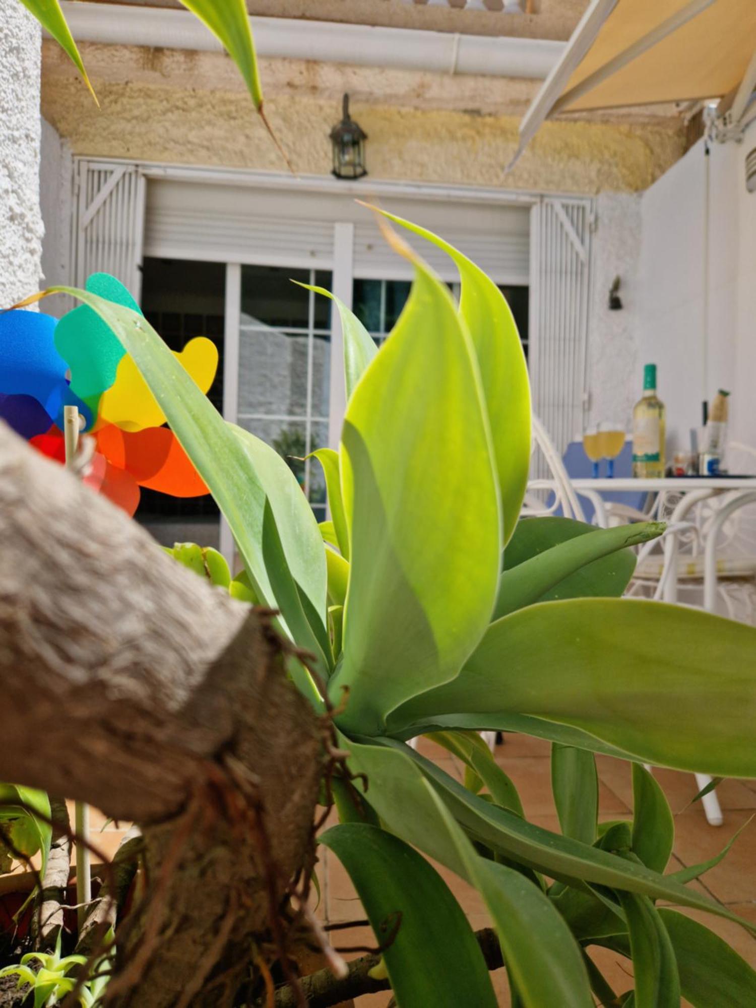 Apartamento San Antonio - Beach, Pool And Terrace *