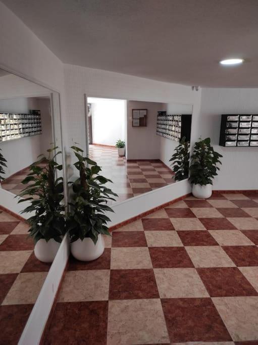 Estudio Centrico En
