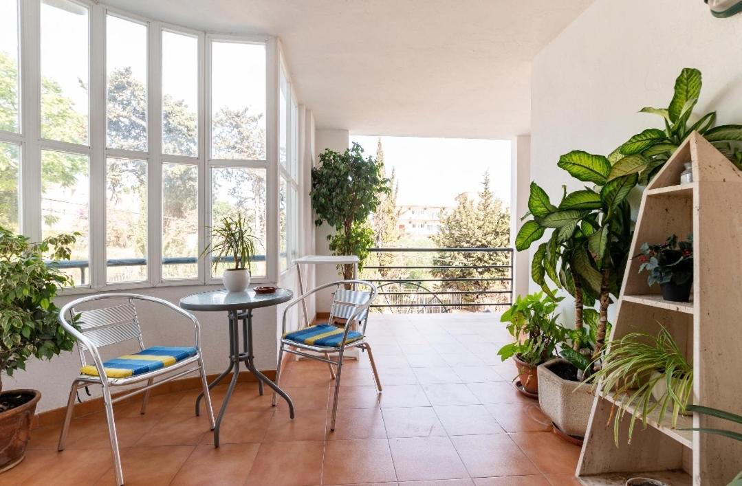Oasis Appartement *