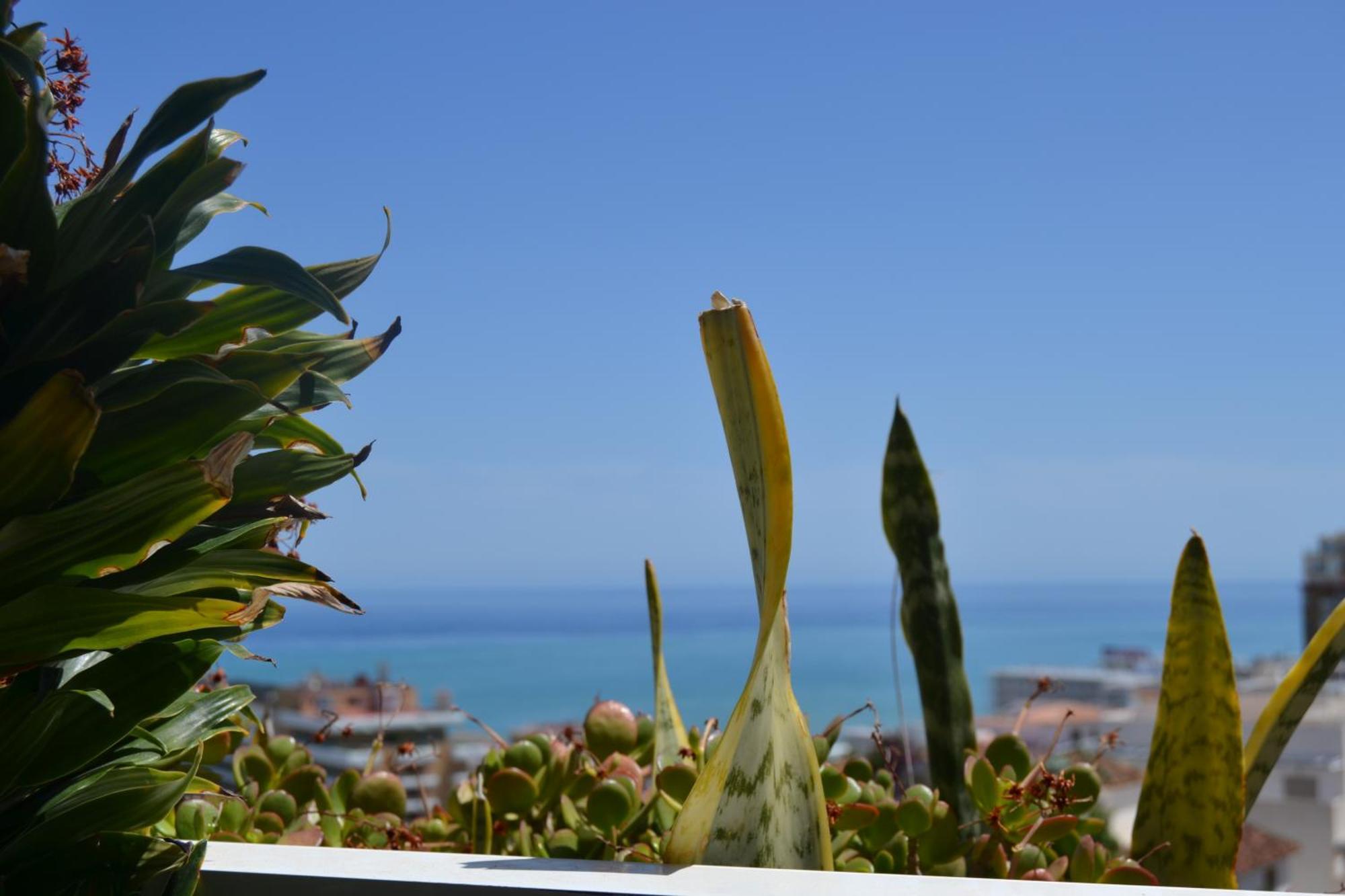 Light-filled With Sea Views * Torremolinos