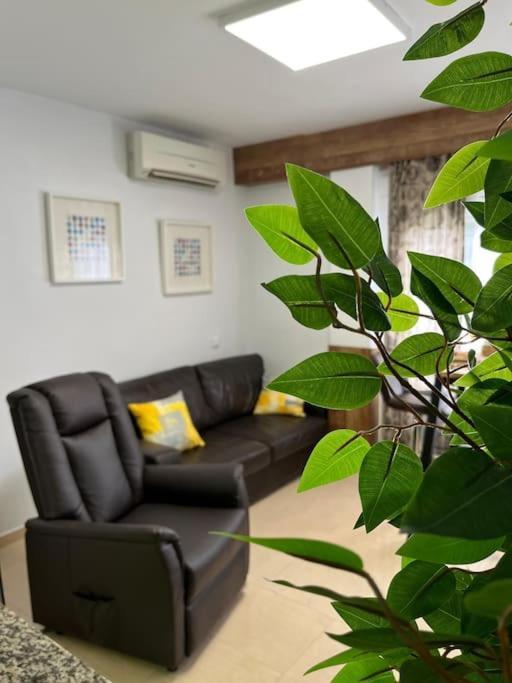 Appartement Encantador Apartamento Centro