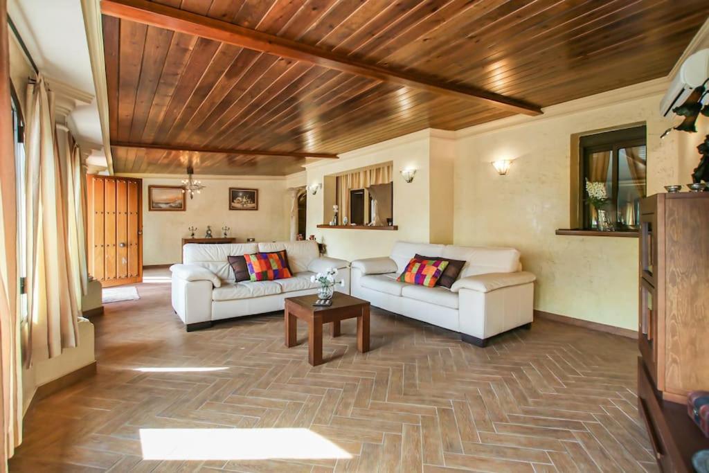 Holiday home Ayma Gorilla *