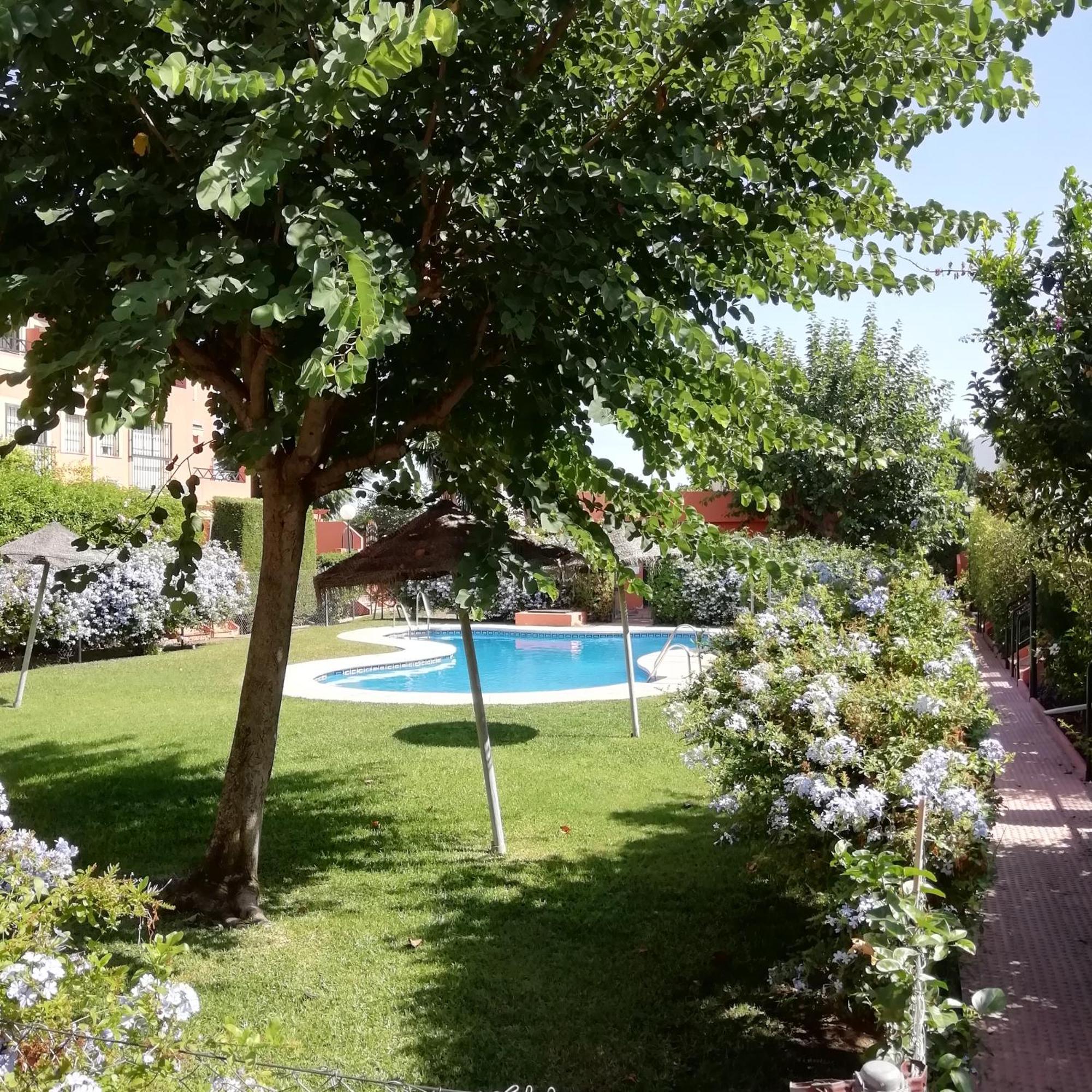 Apartment Moderno Internet Y Aparcamiento Gratis *