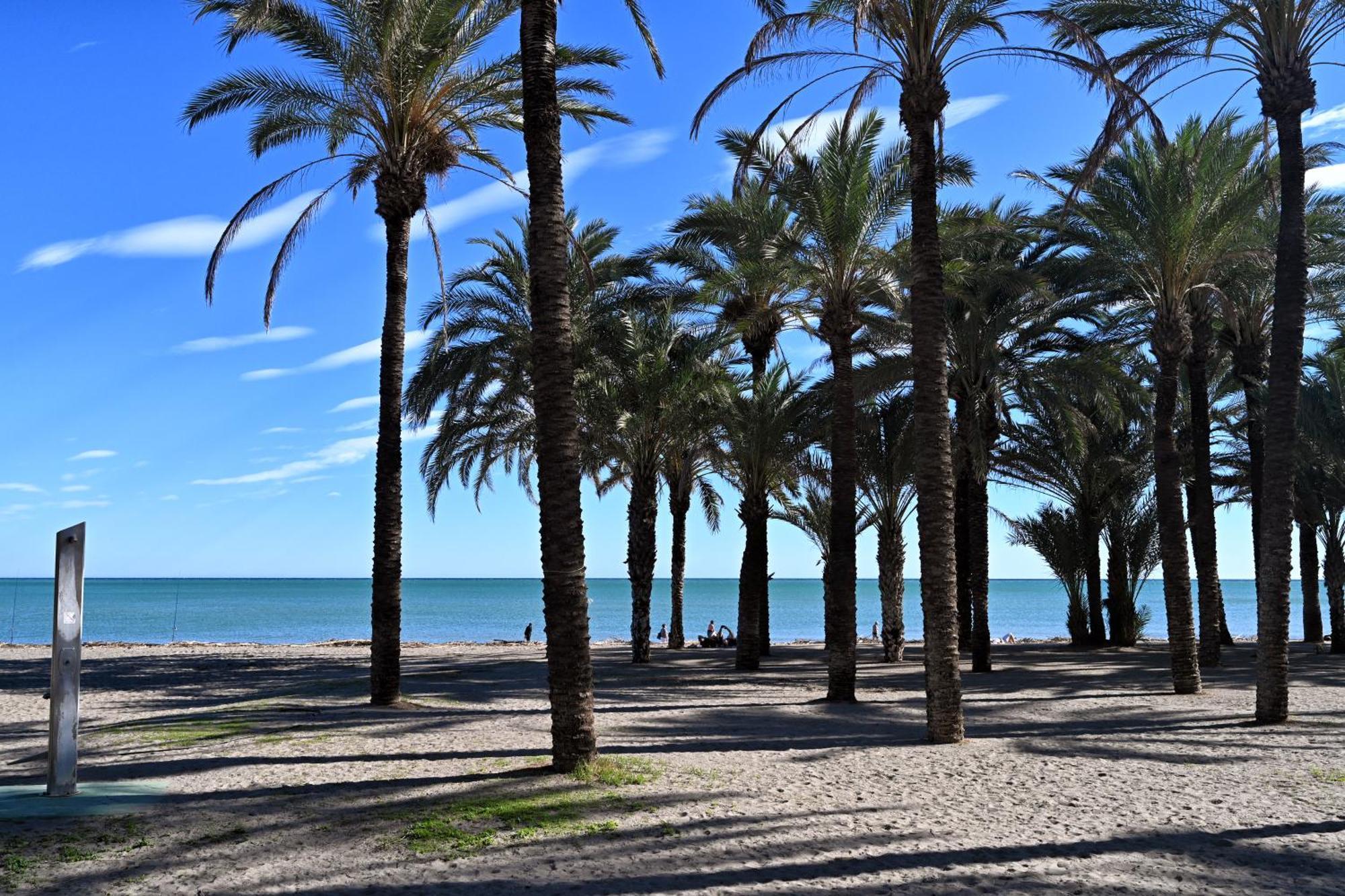 Rent4 Malaga Alamar Appartement *