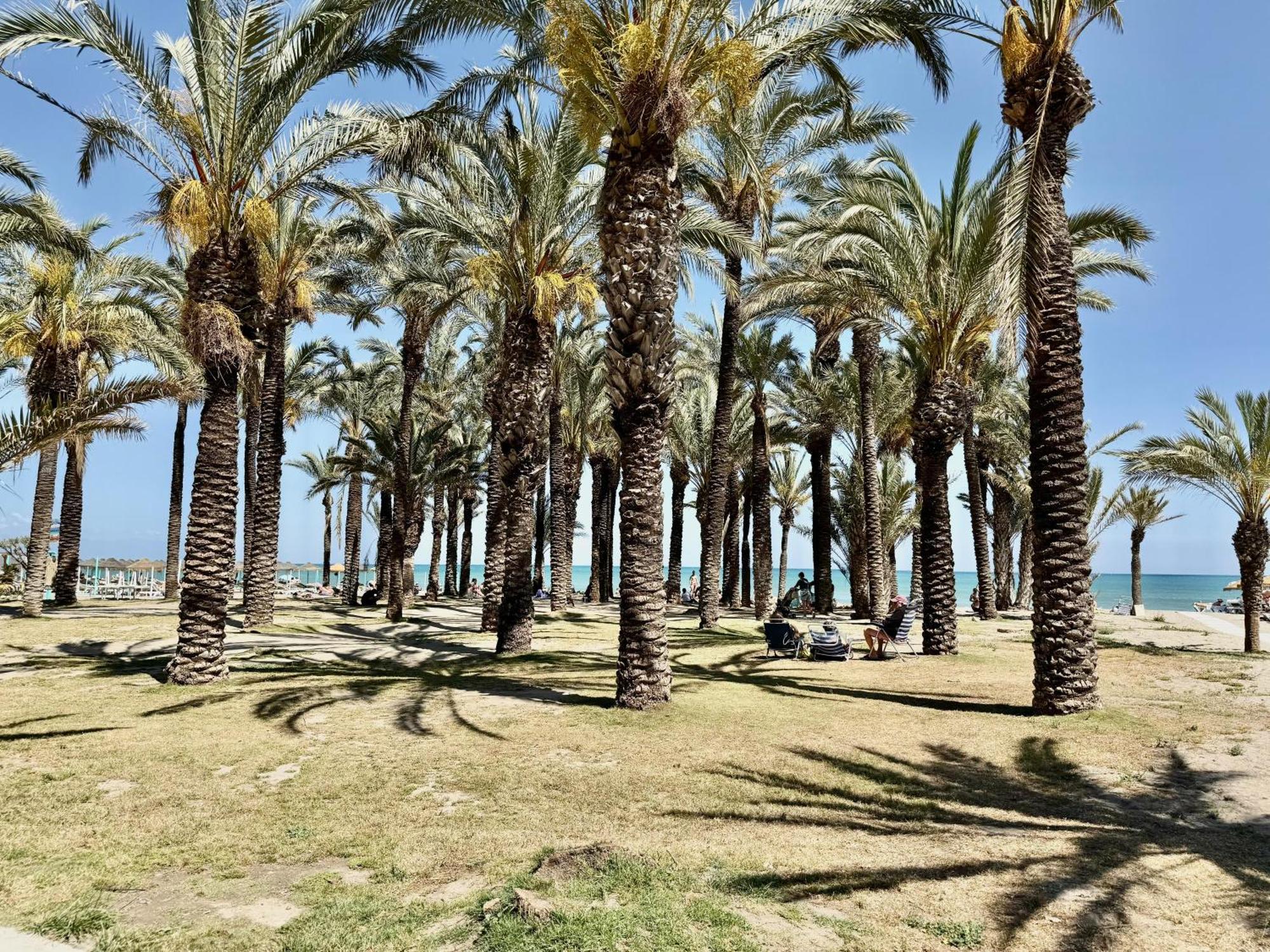 A3 - Loft Nidos Apartamento Torremolinos