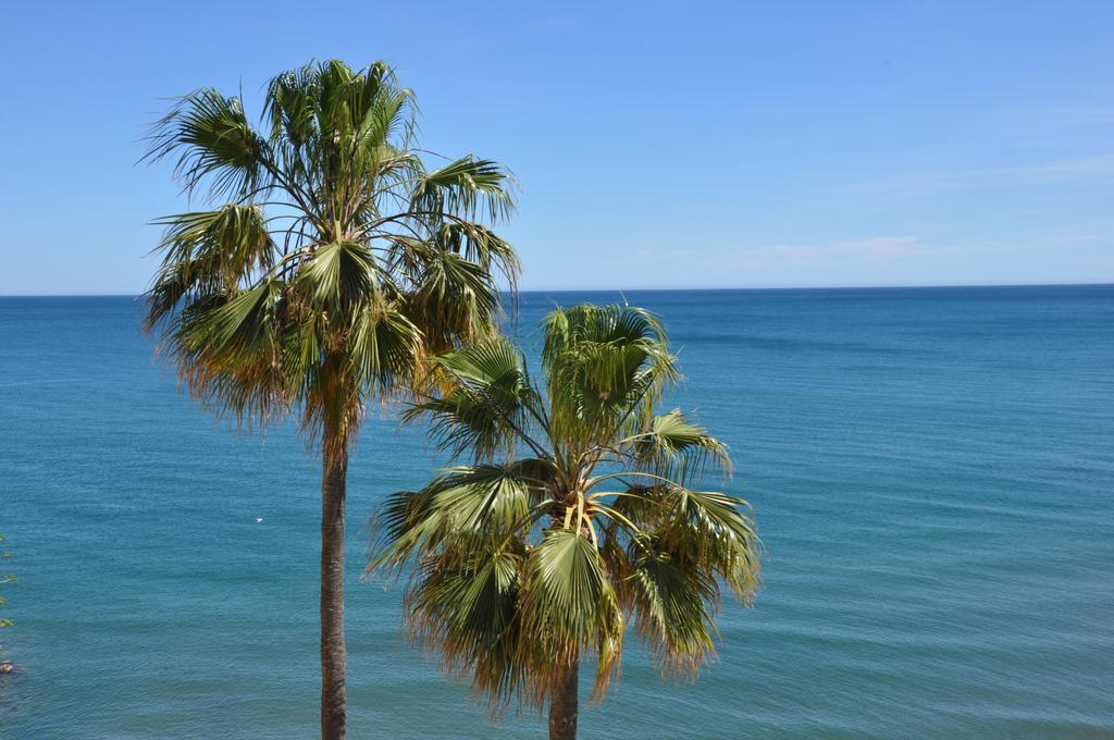 Apartment Sea View Terrace