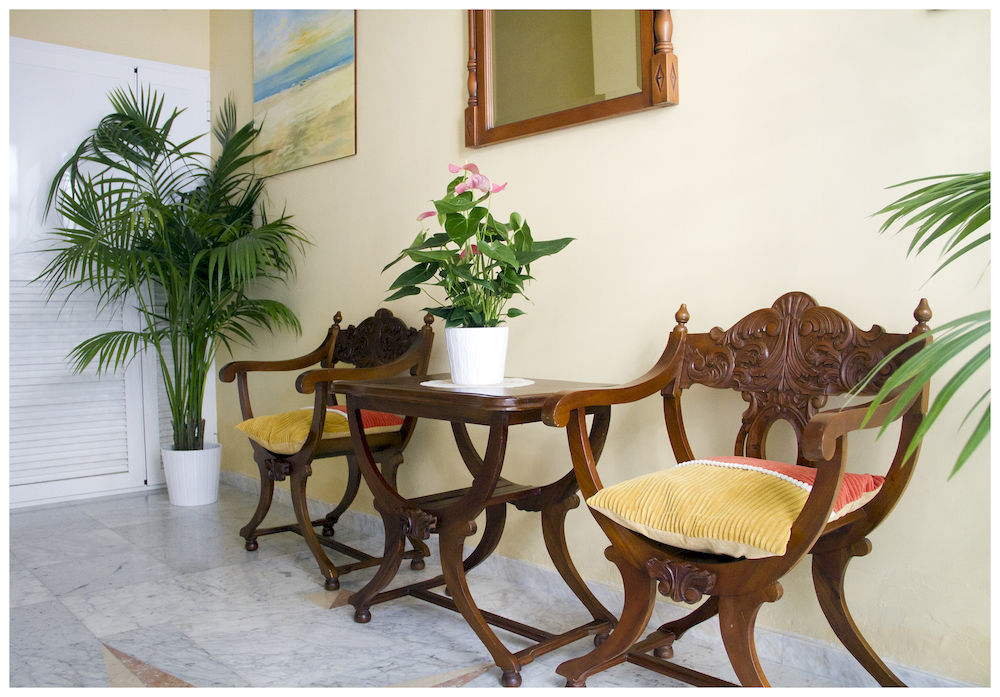 Candisol Cozy
