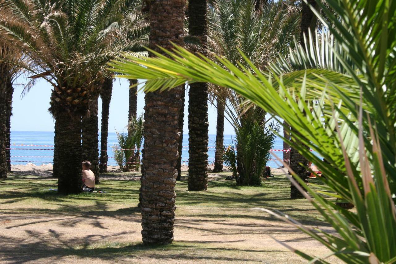Appartement El Remo