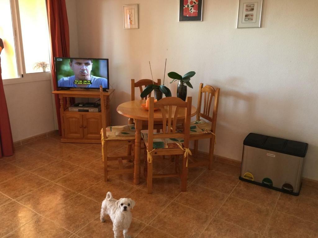 Apartamento Con Piscina En *