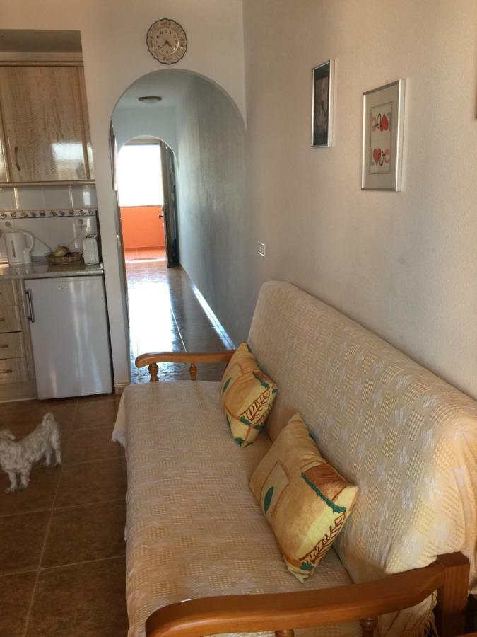 Apartamento Con Piscina En Appartement *