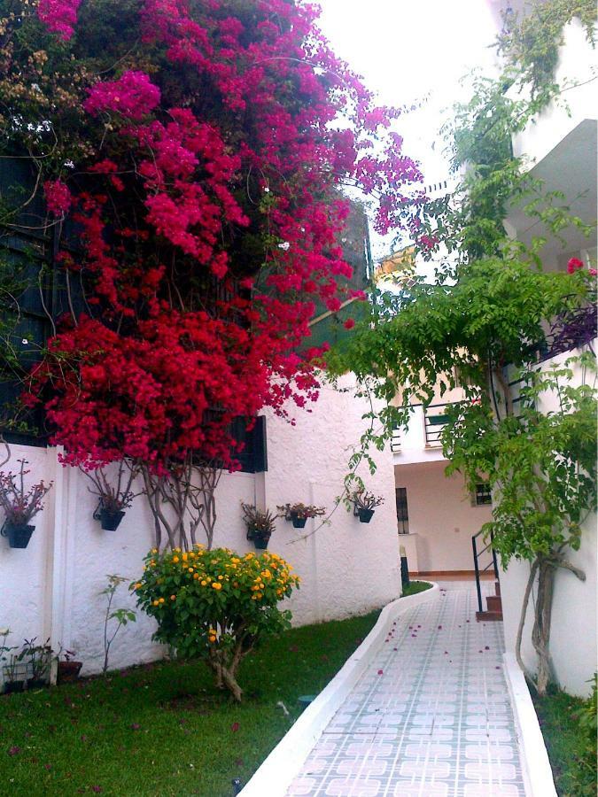 Oasis * Torremolinos