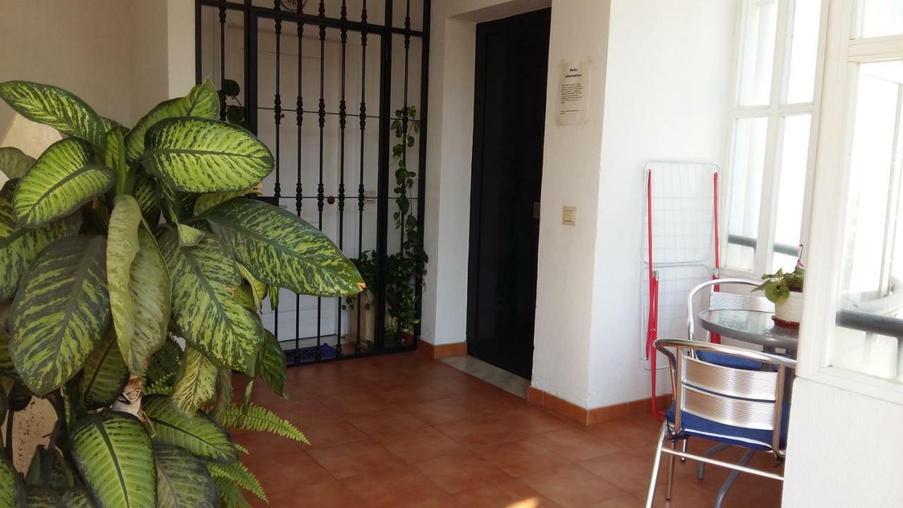Oasis Appartement