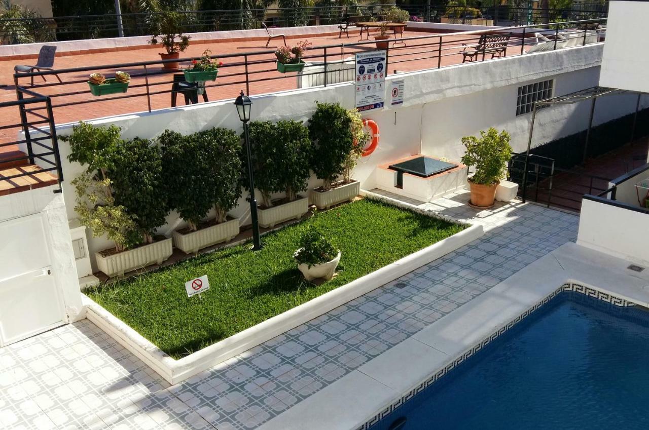 Oasis