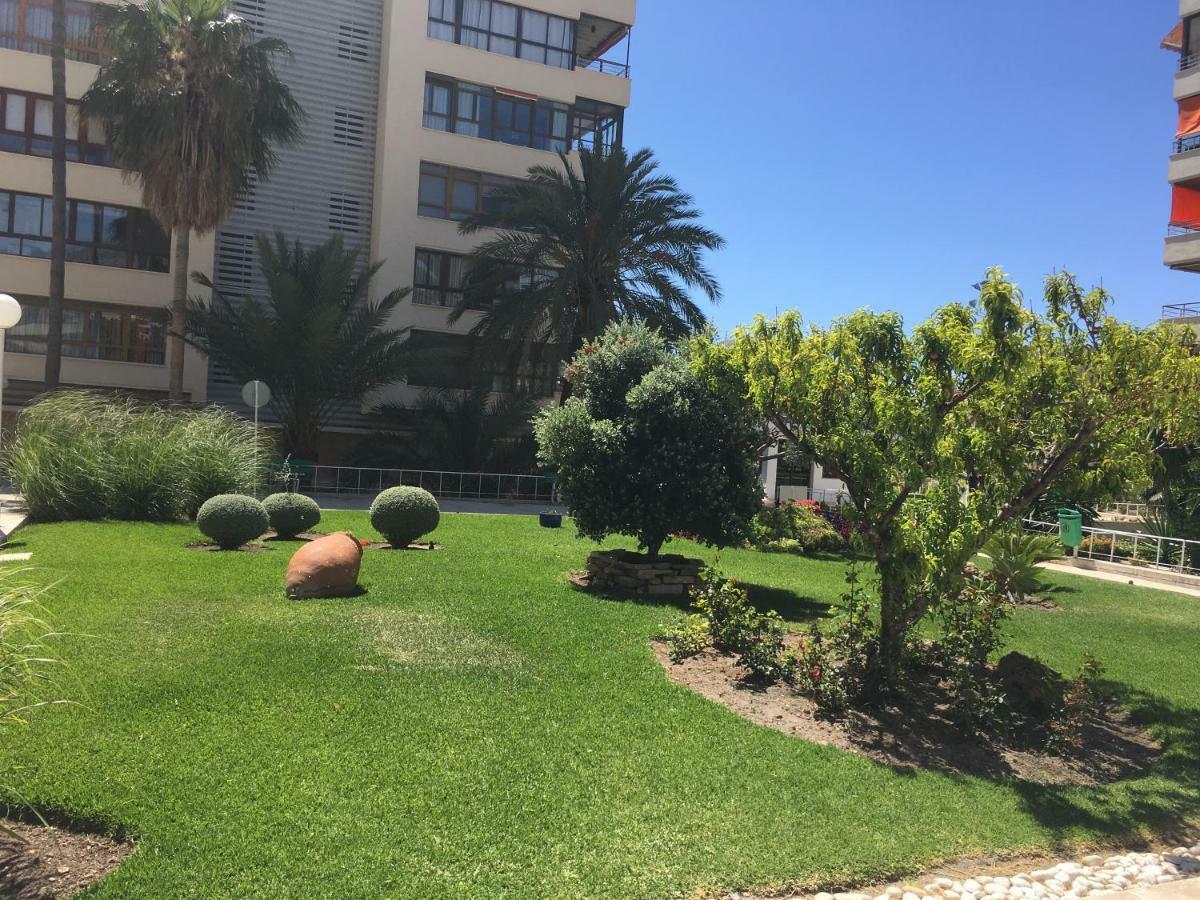 Nogalera Torremolinos