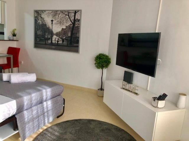 Studio In The Center Of Apartment *