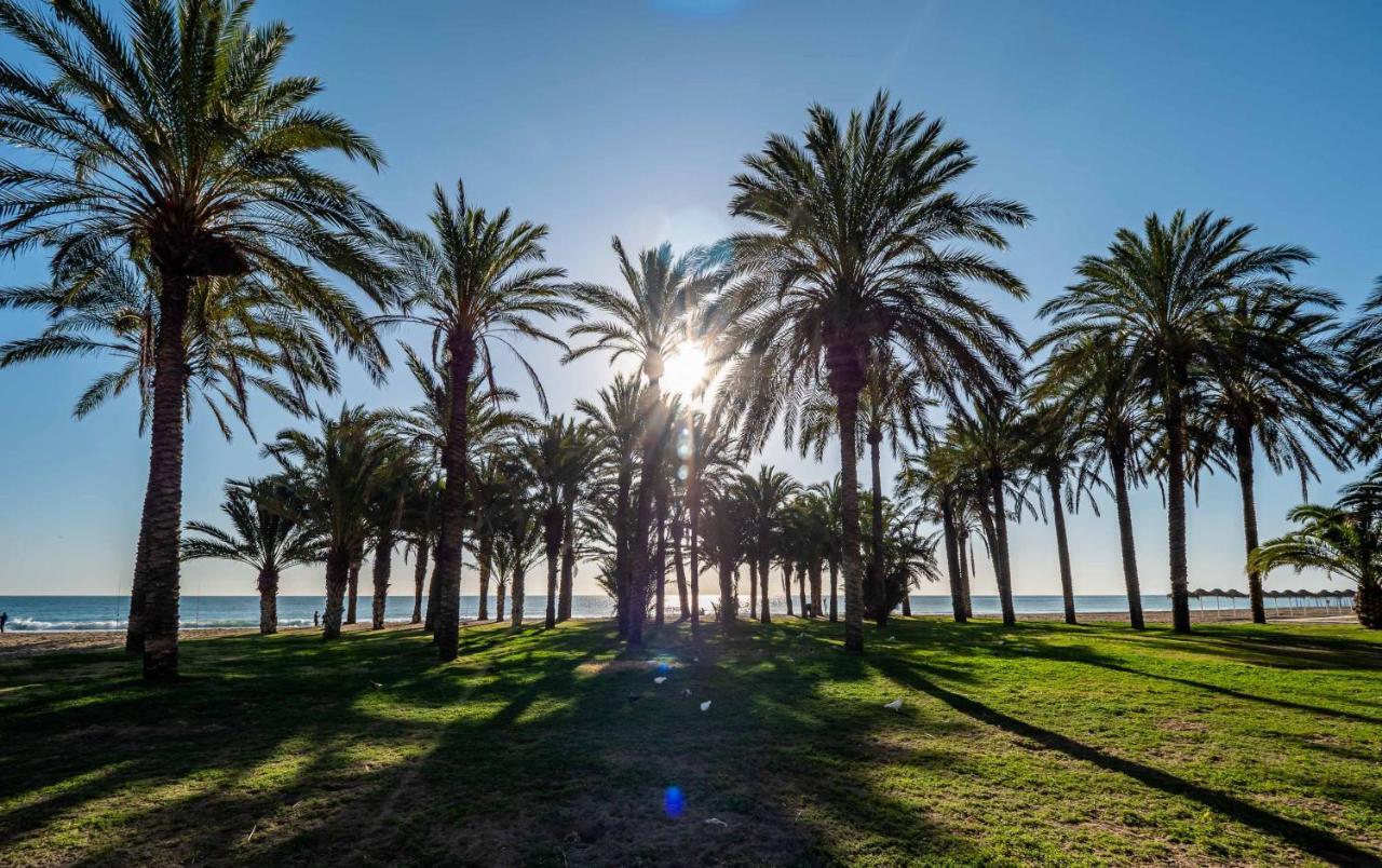 Palm - *
