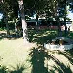 Monkó Baobab