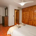 Tess Villa Gorilla
