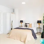 Palm Suite